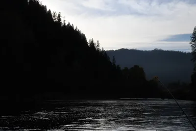 DSC_0303 (Large).JPG